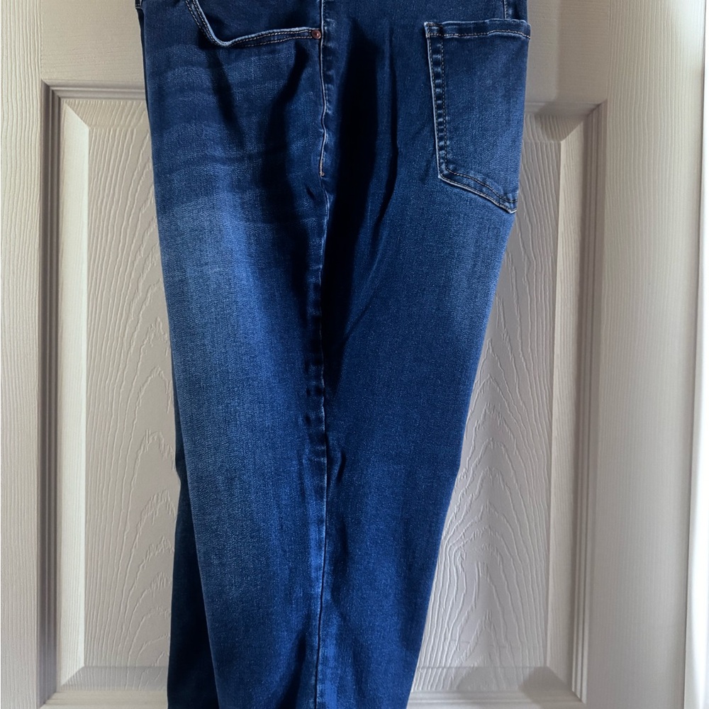 Lane Bryant Blue Capri Pants